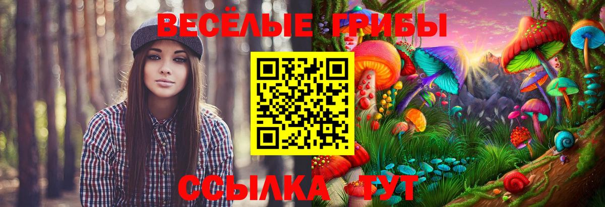 Галлюциногенные грибы Psilocybe  Павловский Посад 