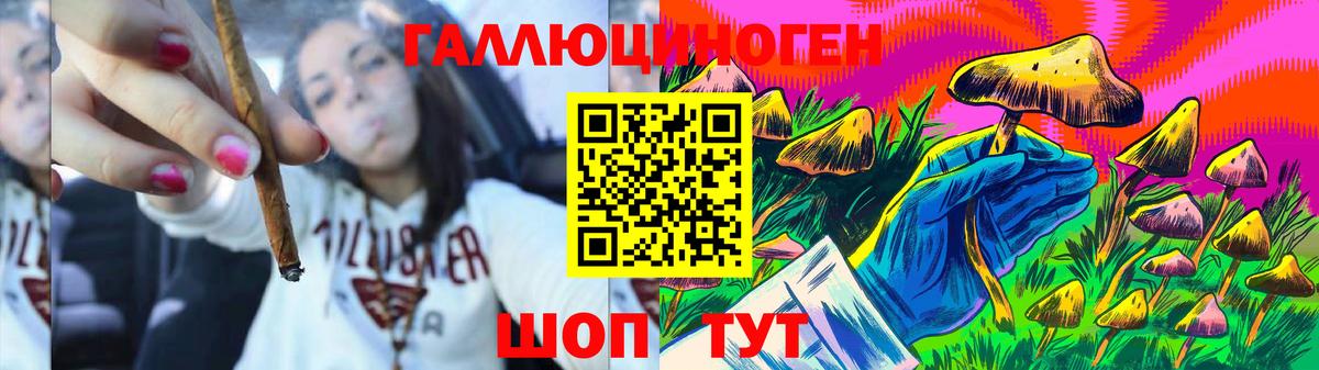 Павловский Посад  Галлюциногенные грибы MAGIC MUSHROOMS  Вход с VPN 